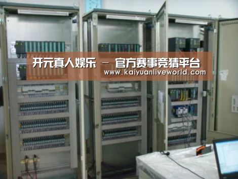 开元体育案例展示五(图1)