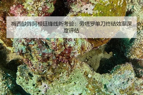 mei-xi-que-zhen-a-gen-ting-feng-xian-xin-kao-yan-lao-ta-luo-dan-dao-zhong-jie-xiao-lv-shen-du-ping-gu-2-699.jpg