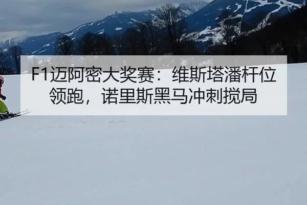mai-a-mi-da-jiang-sai-wei-si-ta-pan-gan-wei-ling-pao-nuo-li-si-hei-ma-chong-ci-jiao-ju-3-126.jpg
