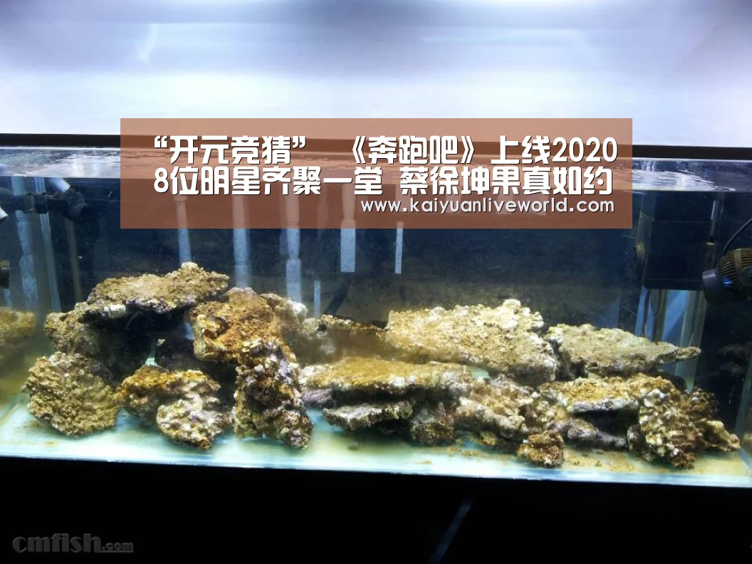 开元下载